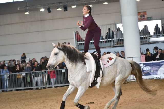  Experten-Voltigierwettbewerbe