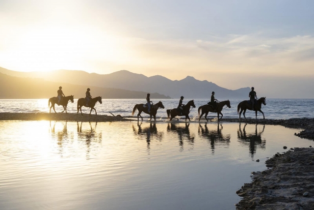 Ruta a caballo por la Playa de Plaja 1h30