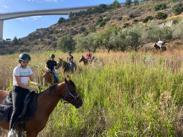  En el verdor siciliano 