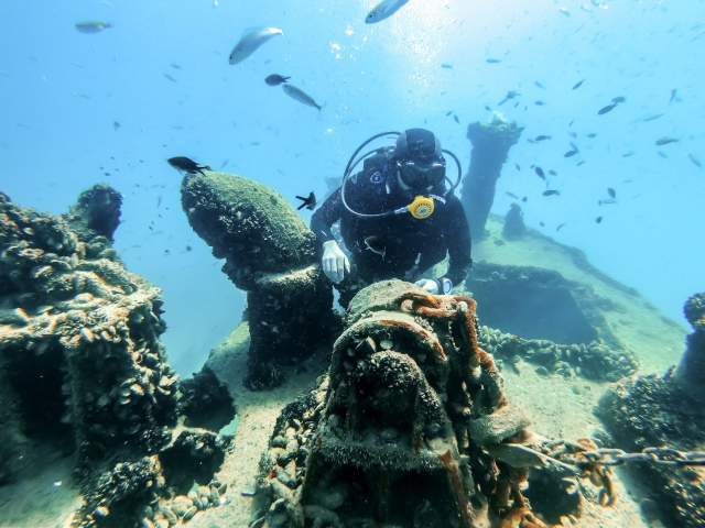Entdecken Sie das Tauchen auf den Two Sisters 3 Stunden