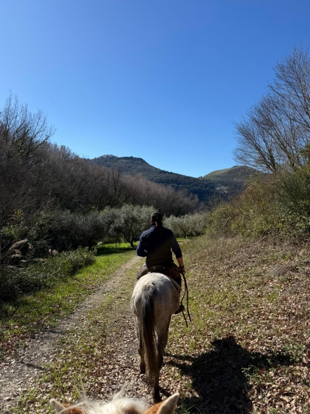 In sella per la Sabina