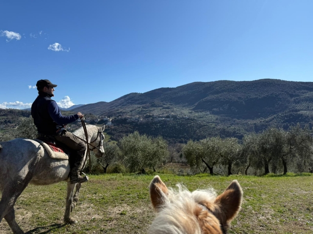 Passeggiata a cavallo 1h nel cuore della Sabina