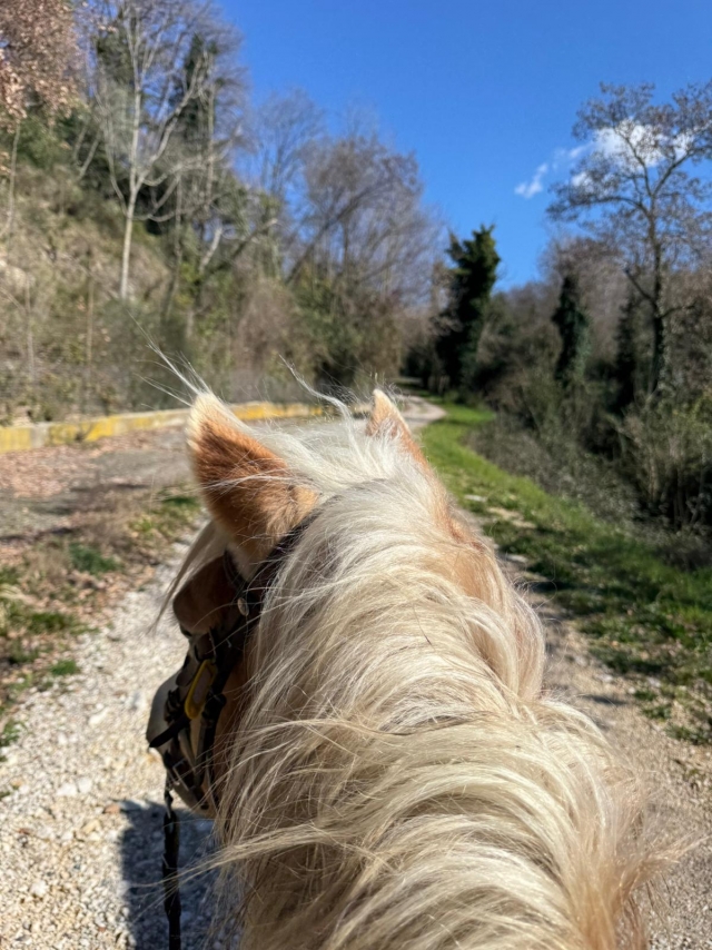 In sella verso il fiume