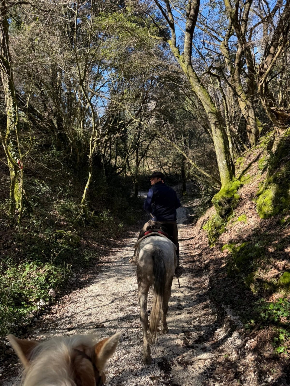 Sotto l'ombra dei boschi