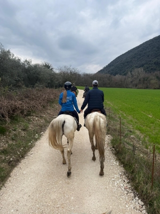 Passeggiata a cavallo 2h ore per la Sabina