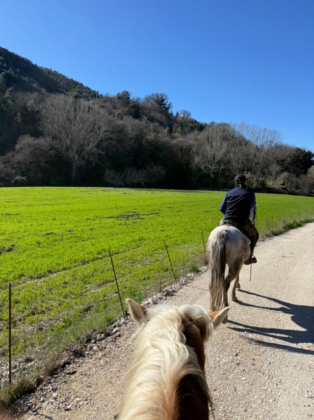 Sotto il cielo azzurro
