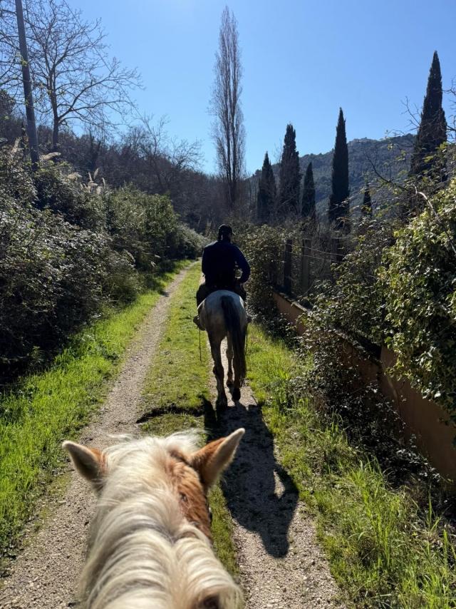 Passeggiando nella natura