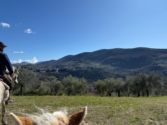 Natura all'orizzonte 
