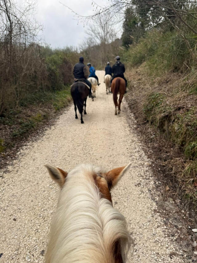 Percorsi immersi nel verde