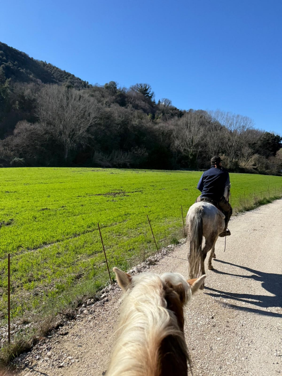 Sotto il cielo azzurro