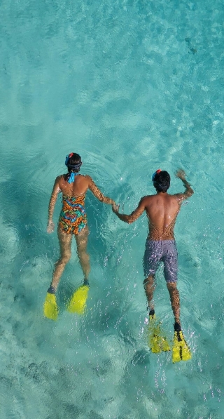 Schnorcheln an der Conero Riviera 3h