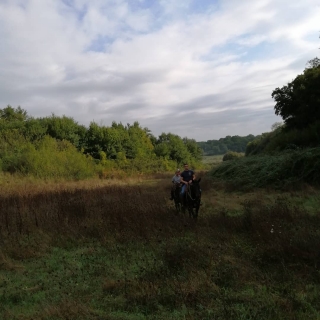 Tour a caballo parque + ciudad antigua Sutri 1h30