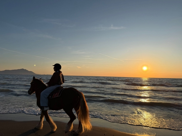  Al atardecer en la playa 