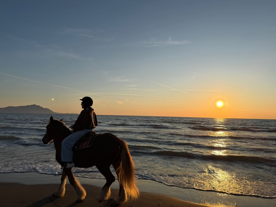  Al atardecer en la playa 