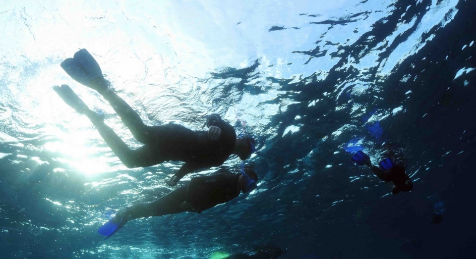  Dans les eaux azurées 