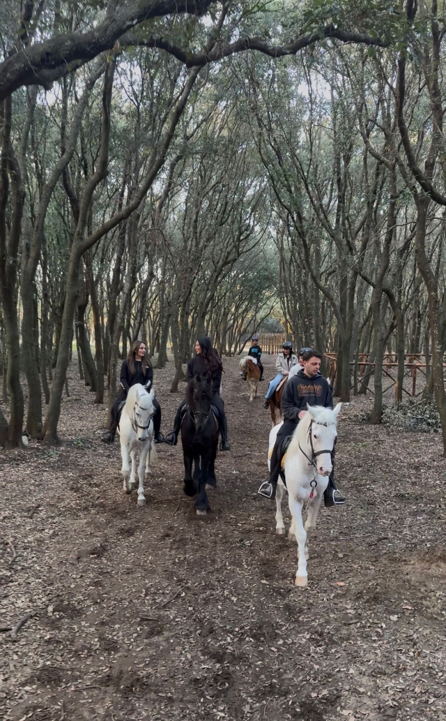  Inmerso en el bosque 
