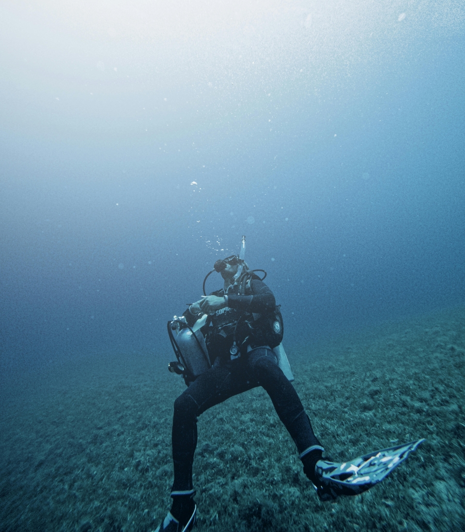 Dans les fonds marins 