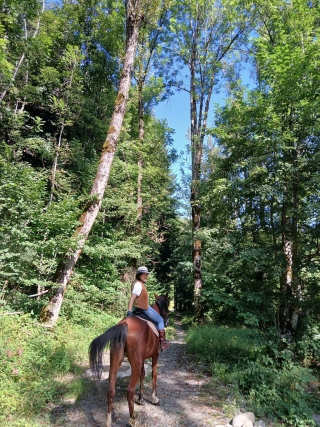 Reitkurs + Modeneser Apennin-Spaziergang 90'