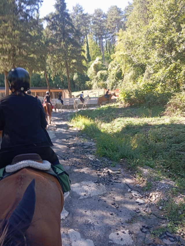 Randonnée à cheval 3h Vallée de Terzolle + ravitaillement