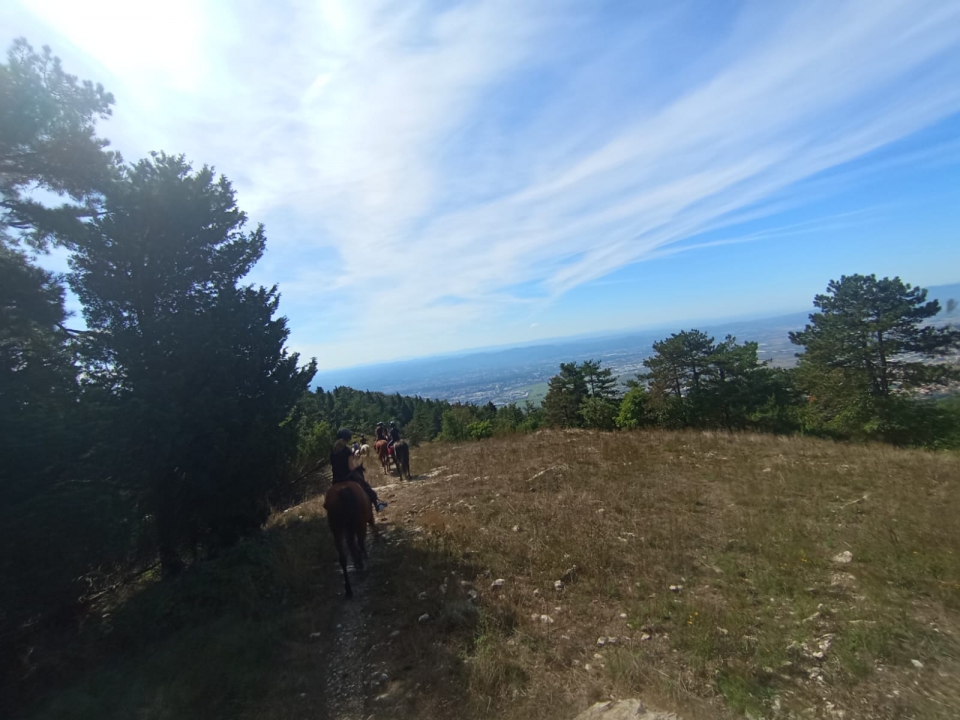  A travers la campagne et les bois en selle