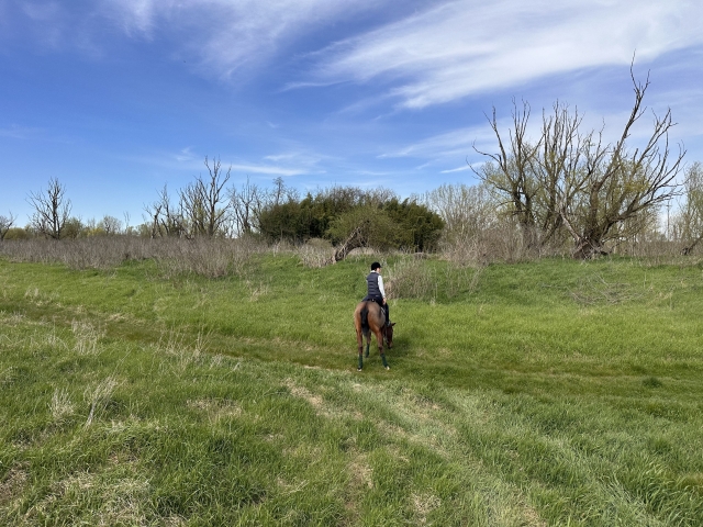 Passeggiata a cavallo sentieri dell'Oltre Po 2h