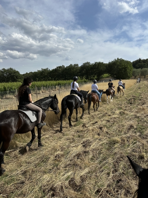 Passeggiata a cavallo in Alta Murgia 1h