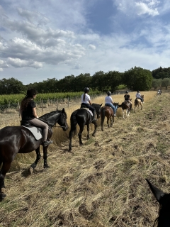 Passeggiata a cavallo in Alta Murgia 2h