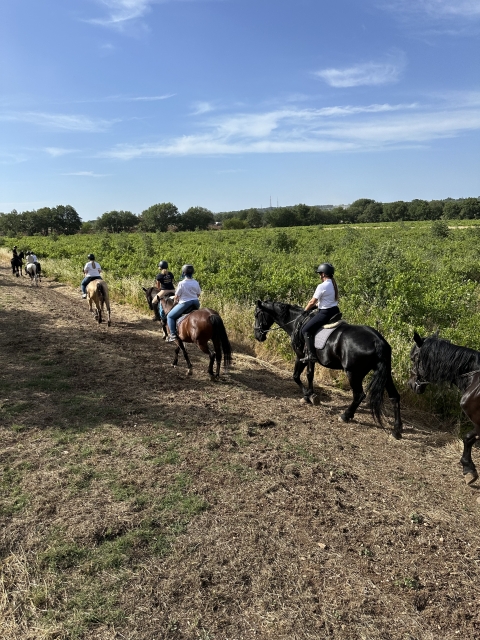 Lezione+Passeggiata a cavallo nell'Alta Murgia 2h