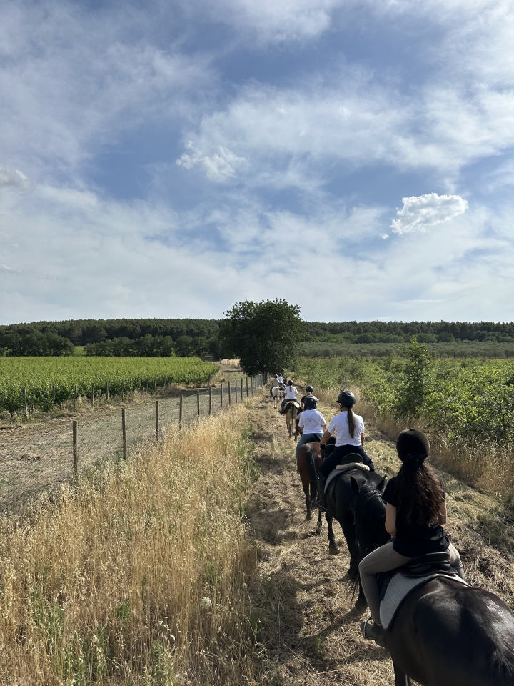 Tra le campagne