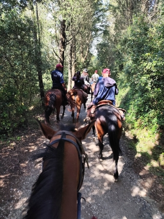 Passeggiata a cavallo 1h a Monte Erice + merenda