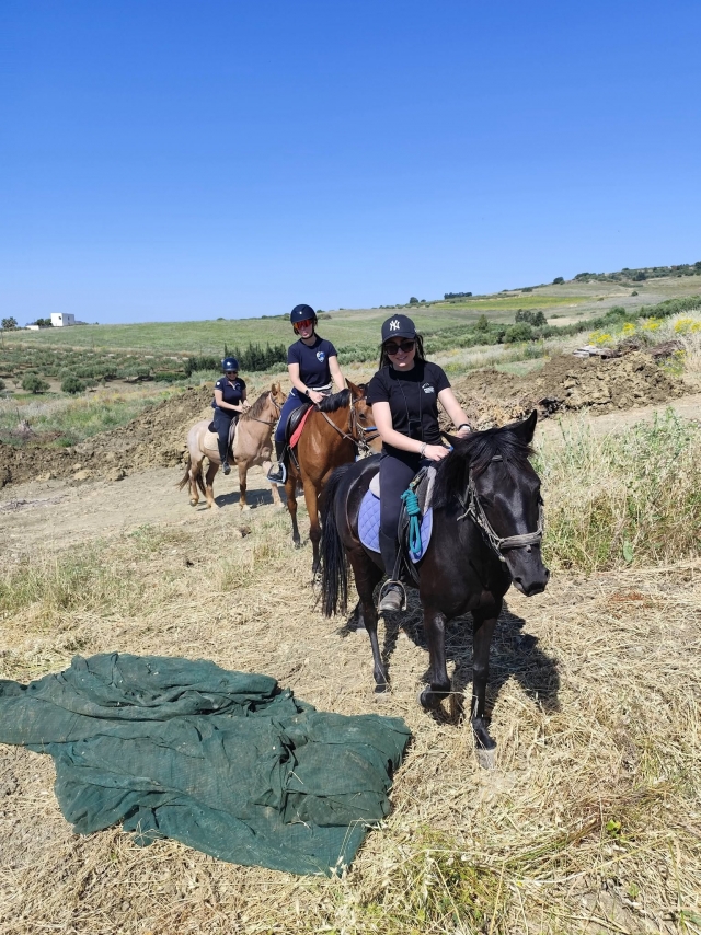 Macchia mediterranea