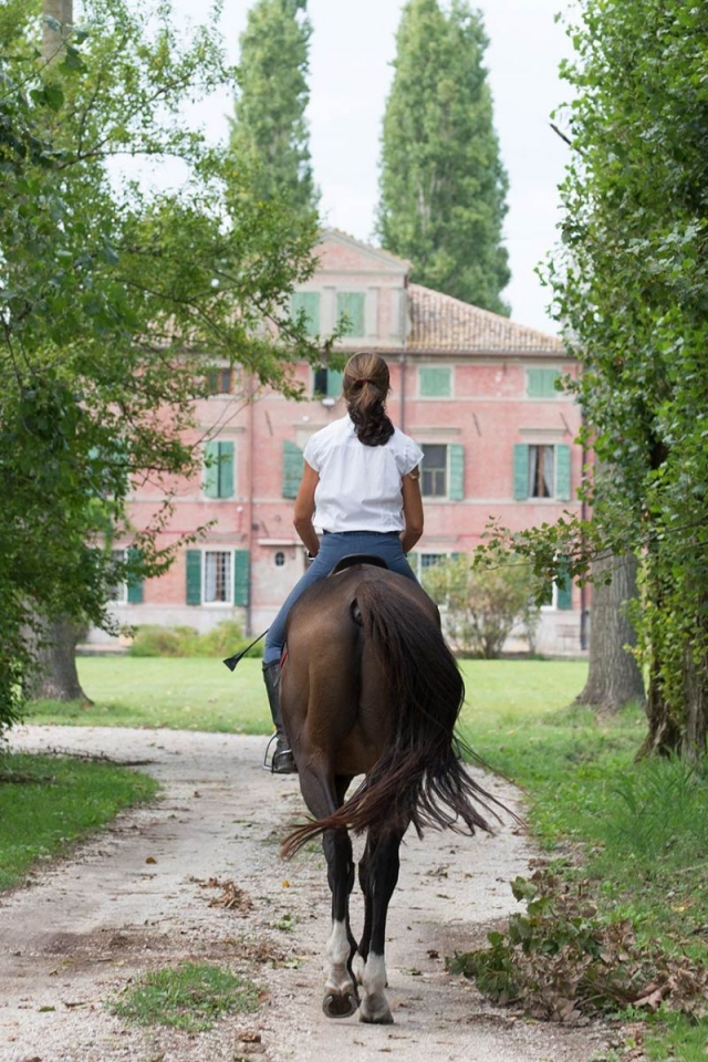 Lezione+tour a cavallo Parco Delta del Po 1h30min