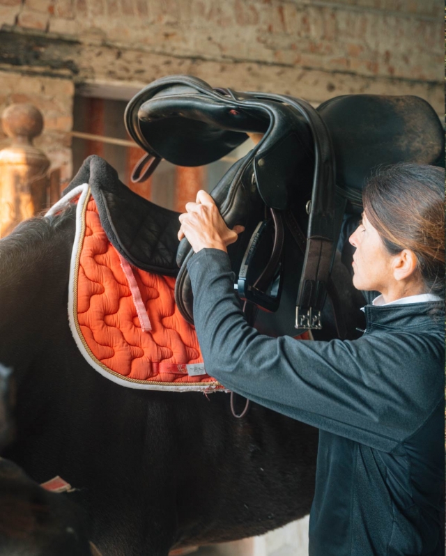 Preparando il cavallo