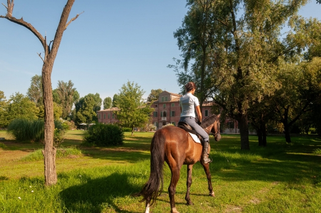 Passeggiata a cavallo Delta del Po 1h30+pernotto