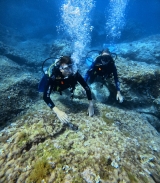 开放水域 Padi 亚得里亚海海岸 3/4 半天