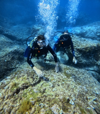 Open Water Padi Costa Adriática 3/4 medio día