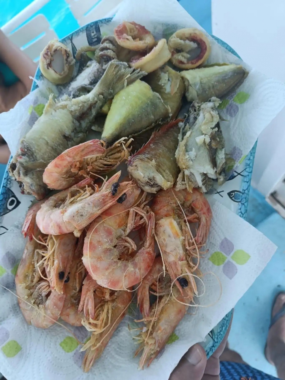  Peixe frito 