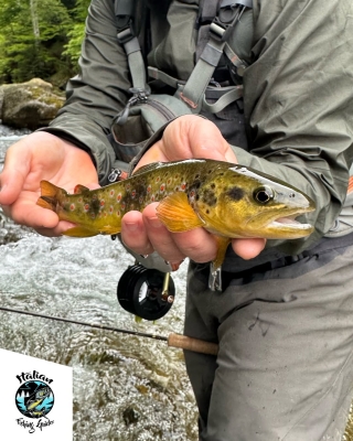 Shore fishing experience on the Po River 4h
