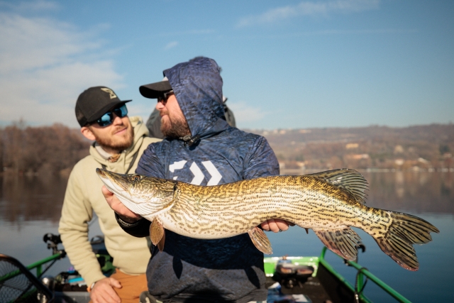  Brochet 