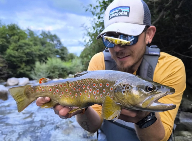  Brochet espèce protégée