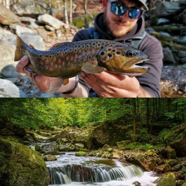 River and fishing 