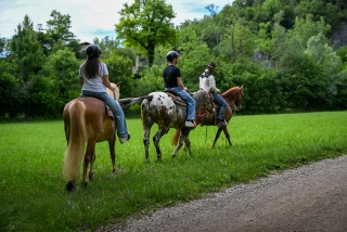 Passeio a cavalo nas Colinas Prosecco 1h