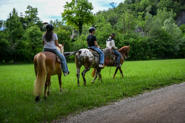 Passeio a cavalo nas Colinas Prosecco 1h