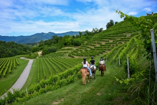 Passeio a cavalo Prosecco Hills + aperitivo 1h