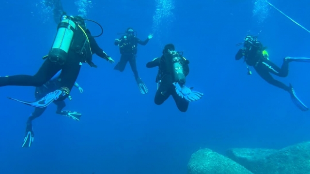 Corso Scuba Diver SSI a Capo d'Orso 2 giorni
