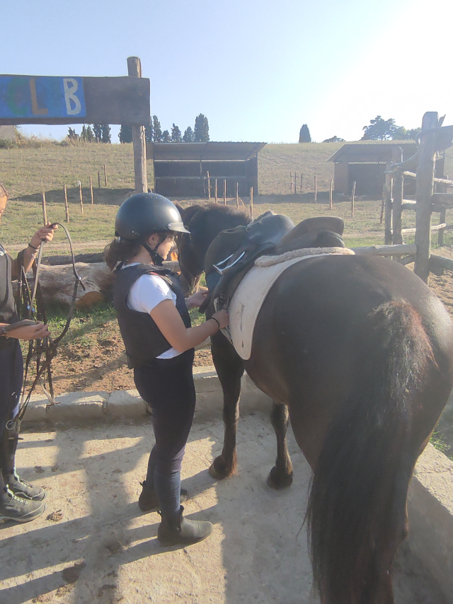 Impara ad andare a cavallo a Roma