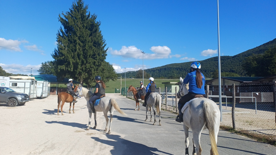 Lezione di equitazione a Formello