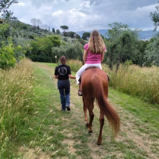  Le guide à pied à côté du cheval 