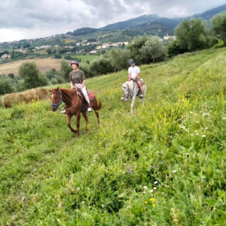  Promenade à cheval sur la colline 