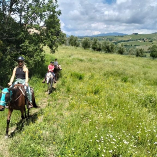  Cavaliers dans les hautes herbes 